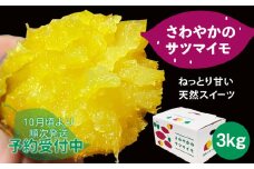 【予約受付中・2025年10月頃より順次発送】さわやかのサツマイモ　3kg　ねっとり 甘い  鳴門　さつまいも　国産 スイーツ 焼き芋 焼芋　天ぷら 干し芋