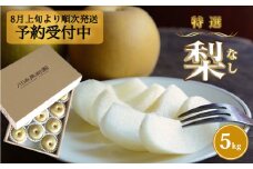【予約受付中・8月上旬頃より順次発送】川添果樹園の特選梨 約 5kg ナシ 果物 フルーツ 和梨 幸水 豊水 南水 秋月 あきづき 新高 国産