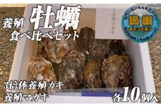 渦潮チャンピオン（3倍体養殖カキ）・養殖マガキ 食べ比べセット