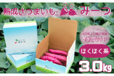 【予約受付中・2025年9月頃より順次発送】熟成さつまいも みーつ (ほくほく系) 3.0kg【数量限定】｜ なると金時 鳴門金時 甘い ホクホク スイーツ 焼きいも スイートポテト おやつ 天ぷら 干し芋 ギフト