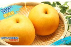 【予約受付中】濱田農園 新高梨 約 5kg 【数量限定】【9月下旬より順次発送】 フルーツ 果物 梨 ナシ 完熟梨 季節の梨 旬の梨 秋の梨 鳴門の梨 完熟果物 季節の果物 旬の果物 秋の果物 鳴門の果物 完熟フルーツ 季節のフルーツ 旬のフルーツ 秋のフルーツ 鳴門のフルーツ 濱田農園の果物 濱田農園のフルーツ