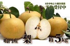 【予約受付中・2025年8月中旬頃より順次発送】徳島県鳴門市産「 梨 」 約 5kg 【数量限定】 国産梨　フルーツ　ジューシー　甘い　幸水 豊水 あきづき 新高
