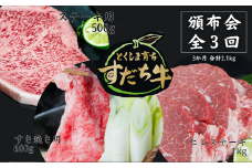 頒布会 3回お届け すだち牛  すき焼き用600g & ステーキ用500g & ヒレ1kg 合計2.1kg