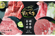頒布会 4回お届け すだち牛  焼き肉用600g ＆ すき焼き用600g & ステーキ用500g & ヒレ1kg 合計2.7kg
