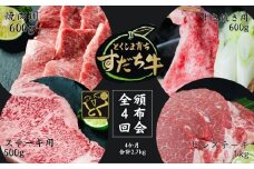 頒布会 4回お届け すだち牛  焼き肉用600g ＆ すき焼き用600g & ステーキ用500g & ヒレ1kg 合計2.7kg