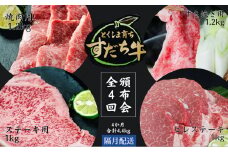 頒布会 隔月配送 4回お届け すだち牛  焼き肉用1.2kg ＆ すき焼き用1.2kg ＆ ステーキ1kg & ヒレ1kg  合計4.4kg