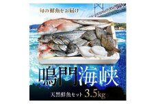  鳴門海峡 冷凍 鮮魚セット 3.5kg （魚種：4～5種） 魚 魚介類 鯛 タイ わかめ 人気 ランキング お得 冷凍 海鮮 海産 鮮魚 詰め合わせ 詰合せ セット 真空パック 処理済 お楽しみ 小分け 簡単調理 手軽 子供 徳島 鳴門 産地直送 鮮魚ボックス 3kg 以上