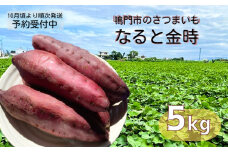 【予約受付中・2025年10月頃より順次発送】本場・徳島県鳴門市産「なると金時」約5kg【数量限定】ほくほく 甘い  国産 スイーツ 焼き芋 焼芋　天ぷら 干し芋　さつまいも