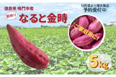 【予約受付中・2025年10月頃より順次発送】本場・徳島県鳴門市産「ご家庭用（ 訳あり ） なると金時 」約5kg【数量限定】　ほくほく 甘い  国産 スイーツ 焼き芋 焼芋　天ぷら 干し芋　さつまいも