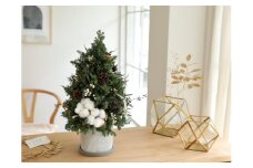 ノルディックツリー【クリスマス限定！申込は12月1日まで】