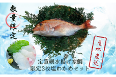 定置網水揚げ寒鯛 限定 天然鯛セミドレス3枚 塩わかめセット