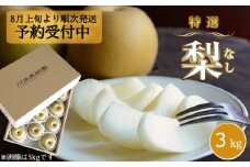 【予約受付中・8月上旬頃より順次発送】川添果樹園の特選梨 約3kg ナシ 果物 フルーツ 和梨 幸水 豊水 南水 秋月 あきづき 新高 国産