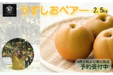 【 予約受付中・2025年8月上旬頃より順次発送 】鳴門産梨 うずしおペアー 2.5kg　フルーツ 果物 梨 ナシ 旬の梨 秋の梨 旬のフルーツ 秋のフルーツ 鳴門の梨 徳島県産 フルーツ 果物  秋の果物 和梨 幸水 豊水 新高