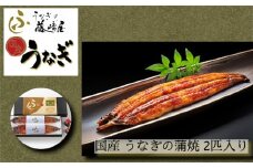 国産 うなぎの蒲焼 2匹入り【藤﨑屋】 ｜ ふっくら あっさり 香ばしい タレ付 山椒付 父の日 母の日 敬老の日