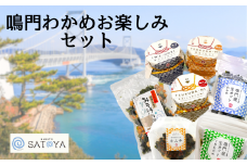 鳴門わかめお楽しみセット　鳴門わかめ あおさのり キムチ 漬物  佃煮 みそ汁の具 茎わかめ カット ごはん 味噌汁 おつまみ 母の日 父の日 お中元 敬老の日 お歳暮