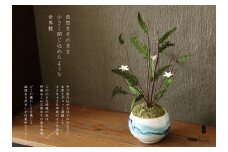 プリザーブドフラワー 風雅