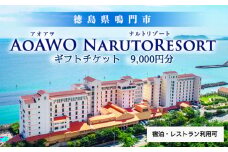 ギフトチケット 9千円分 （ アオアヲ ナルトリゾート ） オーシャンビュー 人気 予約 徳島 鳴門 旅行 宿泊 ホテル おすすめ 温泉 露天風呂 観光 家族 カップル