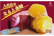 【予約受付中・2025年11月頃より順次発送】【木元農園】八代目の なると金時 約3kg | さつまいも 鳴門金時 熟成 国産 スイーツ 焼き芋 干し芋 味噌汁 天ぷら サラダ スープ
