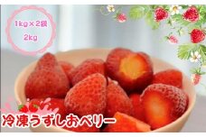 KISAI GARDEN 冷凍 うずしおベリー 2kg | 苺 いちご イチゴ 徳島 鳴門 果物 フルーツ スムージー ジャム