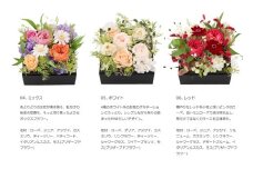 プリザーブドフラワー & BOX（レッド）