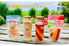 豪華鳴門ピクルスセット　ピクルス らっきょう れんこん 酢漬け 和三盆 本枯節 ハーブ ワイン おつまみ おやつ 前菜