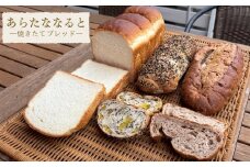 【あらたななると】焼きたてブレッドセット    パン 食パン くるみ 鳴門金時 冷凍 徳島製粉の小麦粉 鳴門の塩 北海道産バター 国産純生クリーム 朝食 おやつ