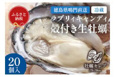 【予約受付中・2025年9月中旬頃より順次発送】【牡蠣セレブ】ラブリィキャンディ ×20個   生食  カキ 殻付き 生牡蠣 かき 鳴門  かき ブランド牡蠣 海鮮 魚介 貝類 焼き牡蠣 蒸し焼き カキフライ アヒージョ 牡蠣ご飯 