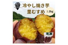 冷やし焼き芋 里むすめ 1.2kg 【芋屋鳴福】