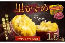 【 予約受付中・2025年9月下旬～10月頃より順次発送 】なると金時 （ 里むすめ ） 1.5kg さつまいも 鳴門金時 熟成 国産 スイーツ 焼き芋 焼芋 焼いも 干し芋 ギフト 贈り物 お土産 サツマイモ 里娘