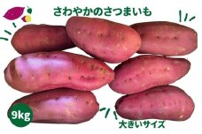 【予約受付中・2025年10月頃より順次発送】さわやかのサツマイモ 大きいサイズ　9kg　ねっとり 甘い  鳴門　さつまいも　国産 スイーツ 焼き芋 焼芋　天ぷら 干し芋
