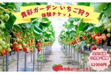 【栽培期間中農薬不使用】貴彩ガーデンいちご狩り体験チケット　