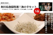 海の幸 セット 5種 ちりめん 干し エビ 塩蔵 わかめ 佃煮 しらす 山椒 おかず おつまみ 調味料 冷蔵