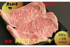 <2024年9月末受付終了>ステーキ 500g 250g × 2枚 冷凍 国産 サーロイン 徳島県 黒毛和牛 阿波牛 和牛 牛肉 霜降り 食材 高級 贈答 プレゼント ギフト お歳暮 ※配達指定不可