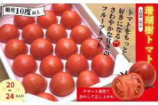 【先行予約】 フルーツ トマト 1kg S 特選 1kg 糖度 10以上 冷蔵 野菜 ギフト プレゼント 贈答 缶 ジュース にも 珊瑚樹 徳島 小松島 2026年3月発送