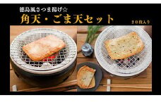 さつま揚げ 20枚 冷蔵 徳島県 練り物 おつまみ おかず 小分け 角天 ごま天 天ぷら 食品 料理 食べ物