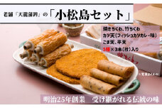 練り物 詰め合わせ セット 5種類 おでん きちくわ 竹ちくわ カツ天 フィッシュカツ ごま天 平天 国産 徳島県産 さつまあげ かまぼこ 蒲鉾 天ぷら お鍋 煮物 おかず 手作り 魚介類 シーフード 魚 すり身 惣菜 おつまみ ビール 徳島 小松島