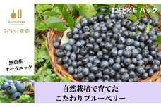 ブルーベリー 125g × 6パック 自然栽培 オーガニック 冷蔵 無農薬 フルーツ みその農園 ※離島への配送不可