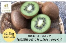 キウイ 2.5kg みその農園 自然栽培 無農薬  国産 徳島県 ※離島への配送不可 ※2024年12月頃より順次発送予定
