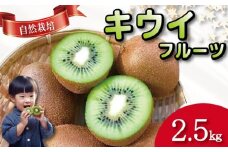 キウイ フルーツ 2.5kg キウイ 国産 フルーツ 果物 自然栽培 無農薬 ヨーグルト ジュース サラダ ビタミン 食物繊維 ダイエット 減量 美容 健康志向 お取り寄せ みその農園 徳島県 小松島市