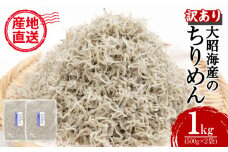 訳あり ちりめん 1kg (500g×2)  国産 しらす ちりめんじゃこ 鰯 いわし 魚 海鮮 魚介類 魚貝 干物 乾物 産地直送 しらすご飯 ごはん おにぎり 米 こめ 不揃い 規格外 家庭用 お取り寄せ グルメ おつまみ 弁当 おかず おやつ 酒の肴 惣菜 パスタ ピザ ちりめん山椒 冷蔵 送料無料 和田島産 徳島県 小松島市 【北海道・東北・沖縄・離島配送不可】