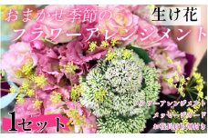 季節の 花束 フラワーアレンジメント  オリジナル手作りカード付 生花 こだわり 単品 1セット ギフト プレゼント 母の日 父の日 敬老の日 花束 フラワーガーデンミモザ ※北海道・沖縄・東北の一部・離島への配送不可