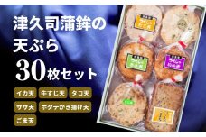 天ぷら 30枚 セット イカ天 牛すじ天 タコ天 ササ天 ホタテかき揚げ天 ごま天 食べ比べ おかず 練り物 さつまあげ さつま揚げ