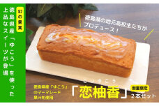 パウンドケーキ 2本 徳島県 ケーキ 洋菓子 柑橘 人気 スイーツ ケーキ パウンドケーキ お菓子 誕生日 お祝い ギフト お取り寄せ スイーツ ※配送指定不可