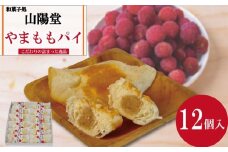 焼き菓子 やまもも パイ 12個入り 個包装 小松島 名菓 洋菓子 和菓子 ケーキ お中元 ギフト 贈答用 にも おすすめ 常温 【北海道･沖縄･離島・東北への配送不可】
