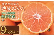 みかん 9kg 熟成 みかん 優品 L~LL 国産 徳島県 勝浦産 貯蔵 果物 フルーツ 柑橘 晩生 みかん 蜜柑 おやつ 甘い 温州 オレンジ 人気 産地直送 数量限定 2026年2月順次発送 徳島県 小松島市 ※北海道・東北・沖縄・離島配送不可