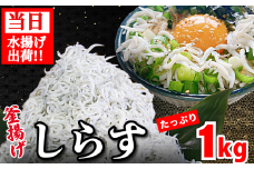 しらす 釜揚げ 1kg ちりめんじゃこ じゃこ しらす ちりめん 小魚 魚 海鮮 魚介類 魚貝 シーフード いわし 鰯 おかず おつまみ 惣菜 弁当 ご飯 のお供 ごはん 酒の肴 のお供 小分け 冷蔵 新鮮 海鮮 お取り寄せ グルメ ギフト プレゼント 贈答 人気 おすすめ 徳島県 小松島市 和田島産