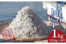 しらす 釜揚げ 1kg 漁協直送 250g × 4パック ごはん のお供 ちりめん 小分け 便利 おつまみ 酒の肴 魚 魚介 小魚 海鮮 海産物 おかず しらす丼 お米 グルメ 食品 新鮮 手軽 時短 ピザ パスタ オイル 漬け 冷凍 国産 徳島県
