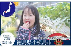 徳島県小松島市 【 返礼品なしの寄附】1000円 ～ 3,000,000円 応援寄附金 応援 支援 災害 子育て 1口 1000円から ふるさと納税 観光徳島 小松島 寄付 南海トラフ 巨大 地震 津波 避難 タワー  子育て世代 応援 プロジェクト 子供 応援寄付