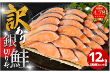 訳あり 鮭 定期便 6回 （2kg × 6回） 計12kg さけ サケ 銀鮭 切り身 切身 サイズ 不揃い サーモン ごはん のお供 おつまみ 酒の肴 魚 魚介 小魚 海鮮 海産物 おかず お米 シャケ 塩銀鮭 塩さけ 塩サケ グルメ 訳アリ 家庭用 弁当 食品 新鮮 冷凍 徳島県