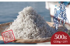 しらす 釜揚げ 小分け 500g（250g×2パック）冷凍 漁協直送 しらす丼 丼ぶり 魚 ご飯 お取り寄せ グルメ 人気 おすすめ やわらか ちりめん じゃこ ジャコ 海の幸 惣菜 弁当 簡単調理 ごはんのお供 加工品 グルメ 食品 魚介 小魚 魚 鮮魚 海鮮 シラス 卵 たまご お取り寄せ 送料無料 